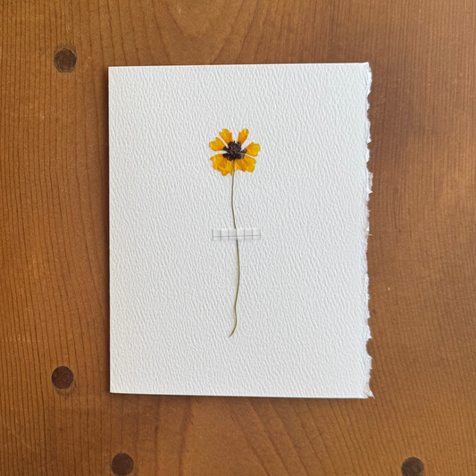 The Cheerful Card