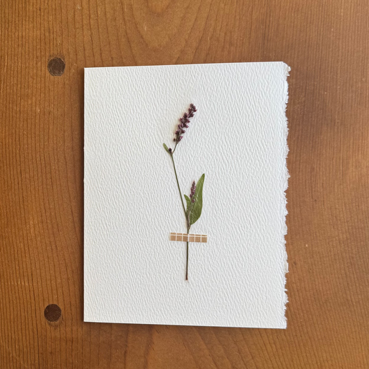 The Compassionate Card