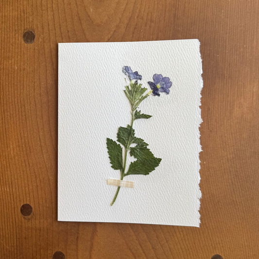 The Joyful Card