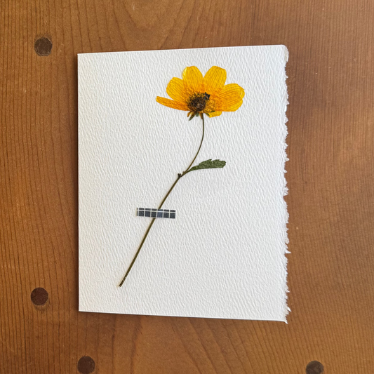 The Perseverance Card