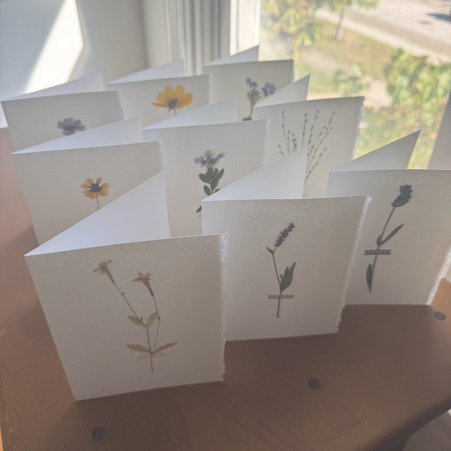 Little Flower Collection