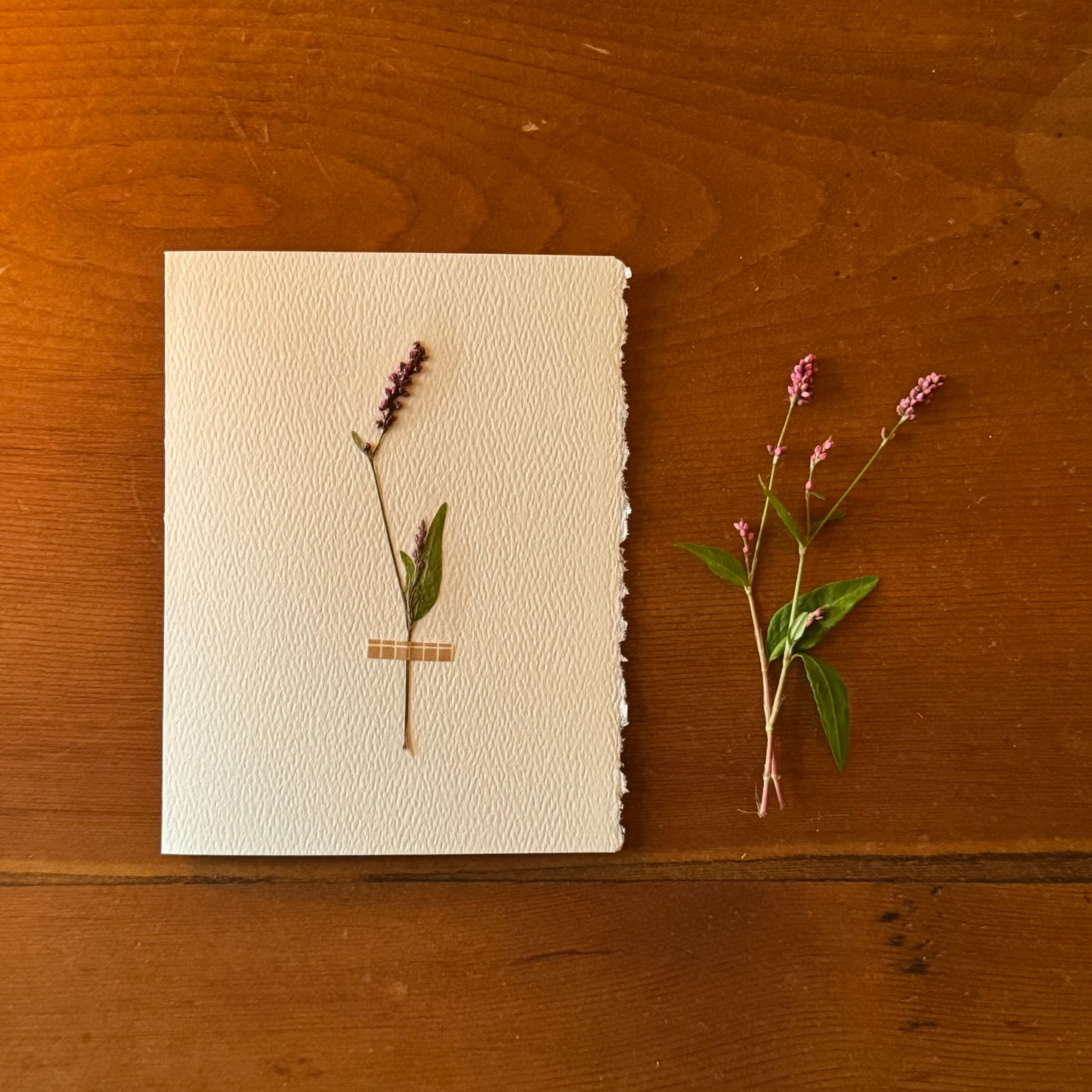 The Compassionate Card