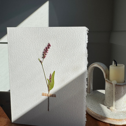 The Compassionate Card