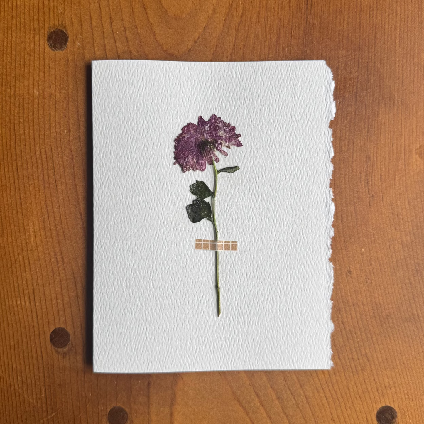 The Fortitude Card