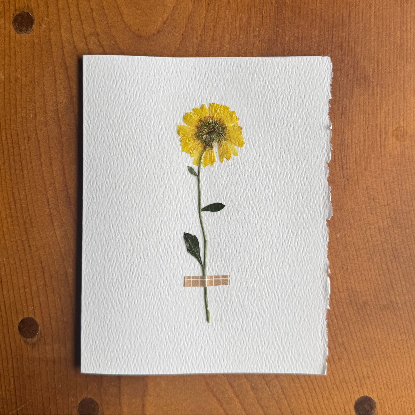 The Kindness Card