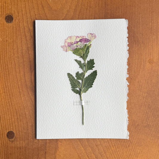 The Joyful Pink Card