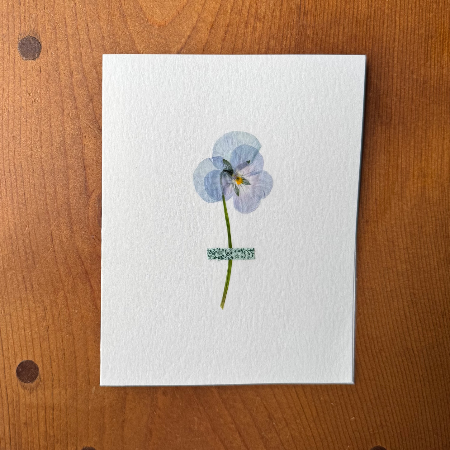 Viola with Green Floral Fabric