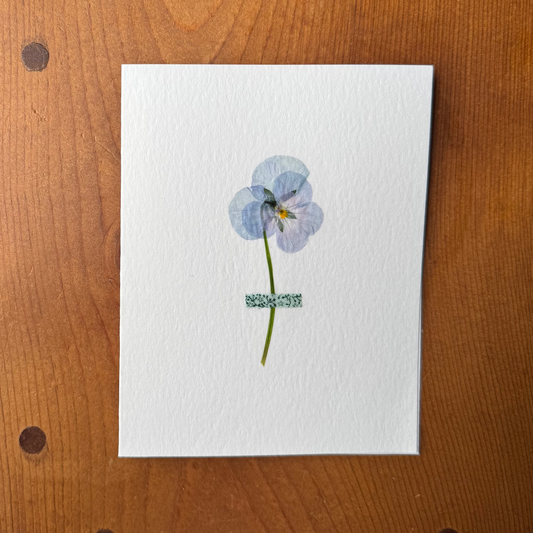 Viola with Green Floral Fabric