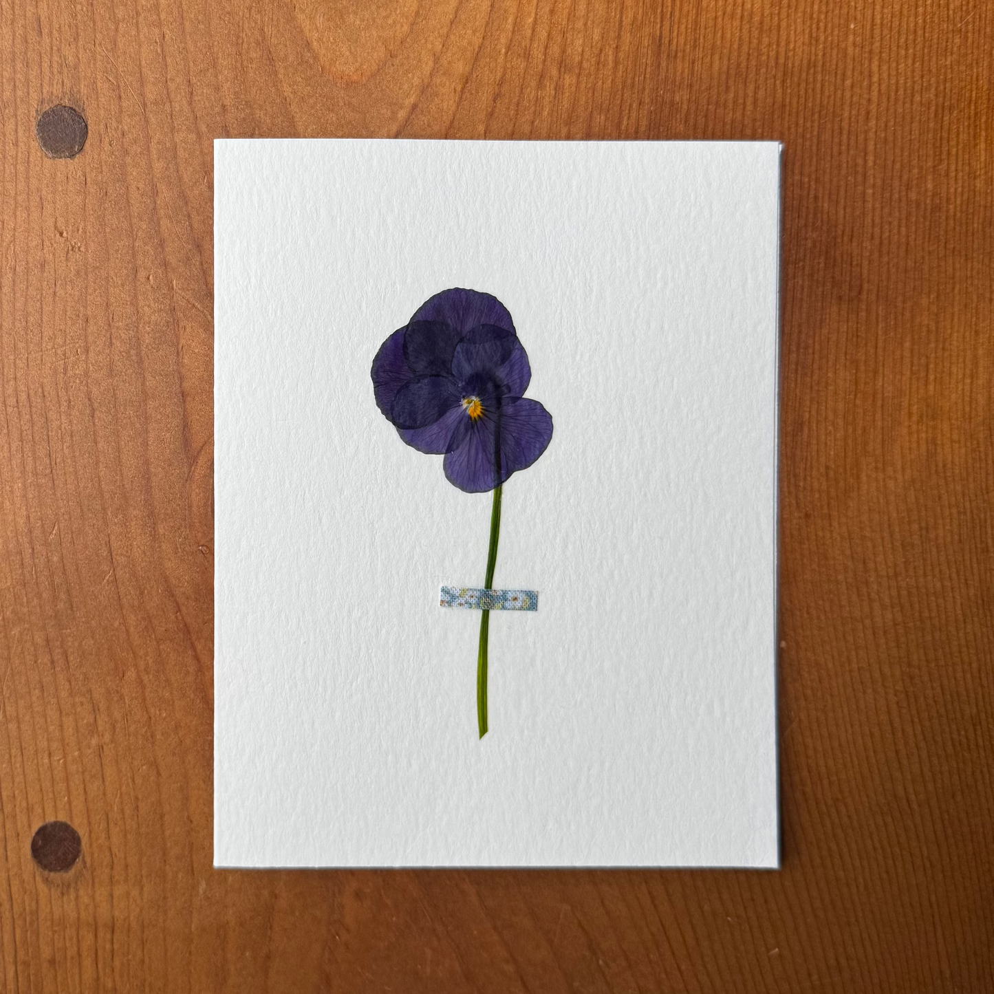 Viola with Blue Floral Fabric