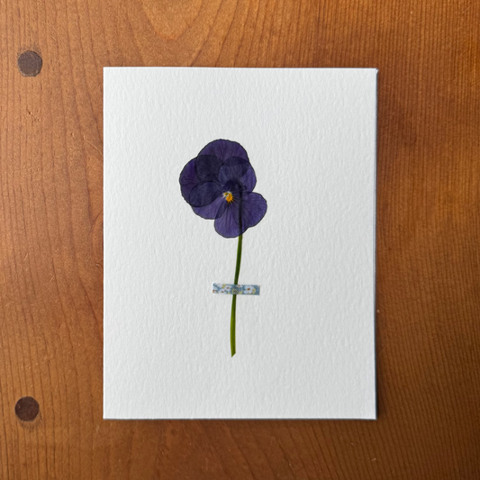 Viola with Blue Floral Fabric