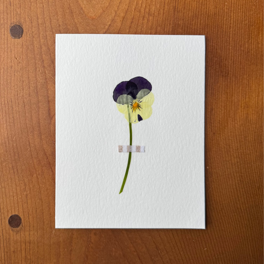 Viola with Striped Fabric