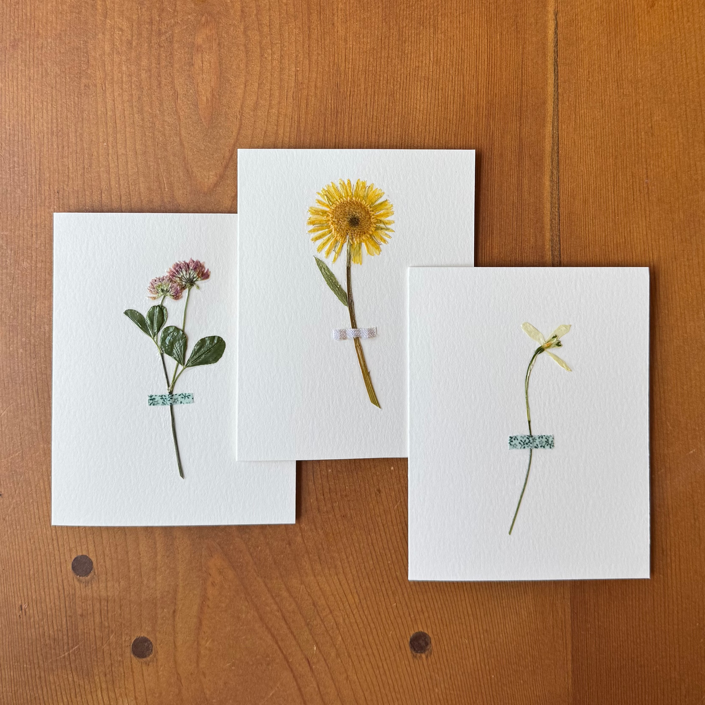 The Freshly Picked Card