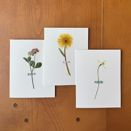 The Freshly Picked Card