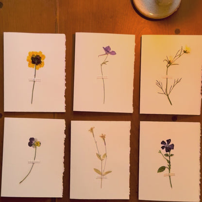 The Freshly Picked Card